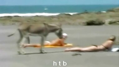 Với một châu video sex hàn Á phụ nữ.